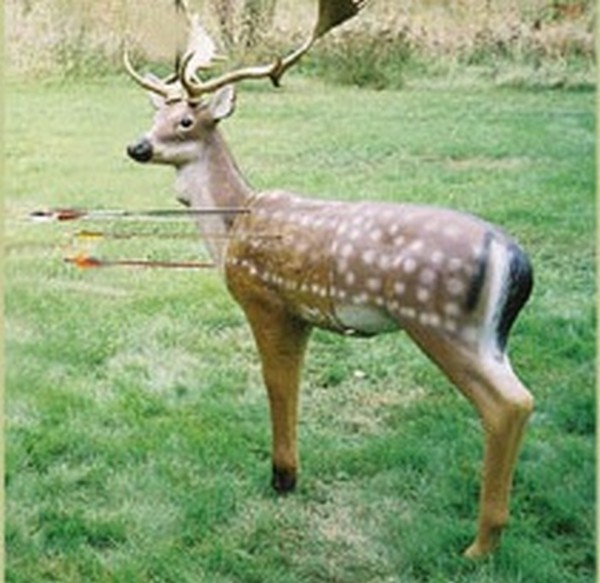 Traditional Bow Hunting